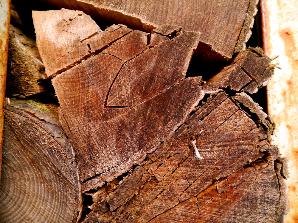 holz – Denkmalberater Björn Toelstede
